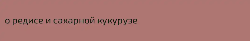 о редисе и сахарной кукурузе